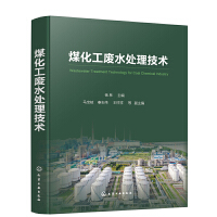 計算機軟件技術開發 從概念到實踐的全面解析
